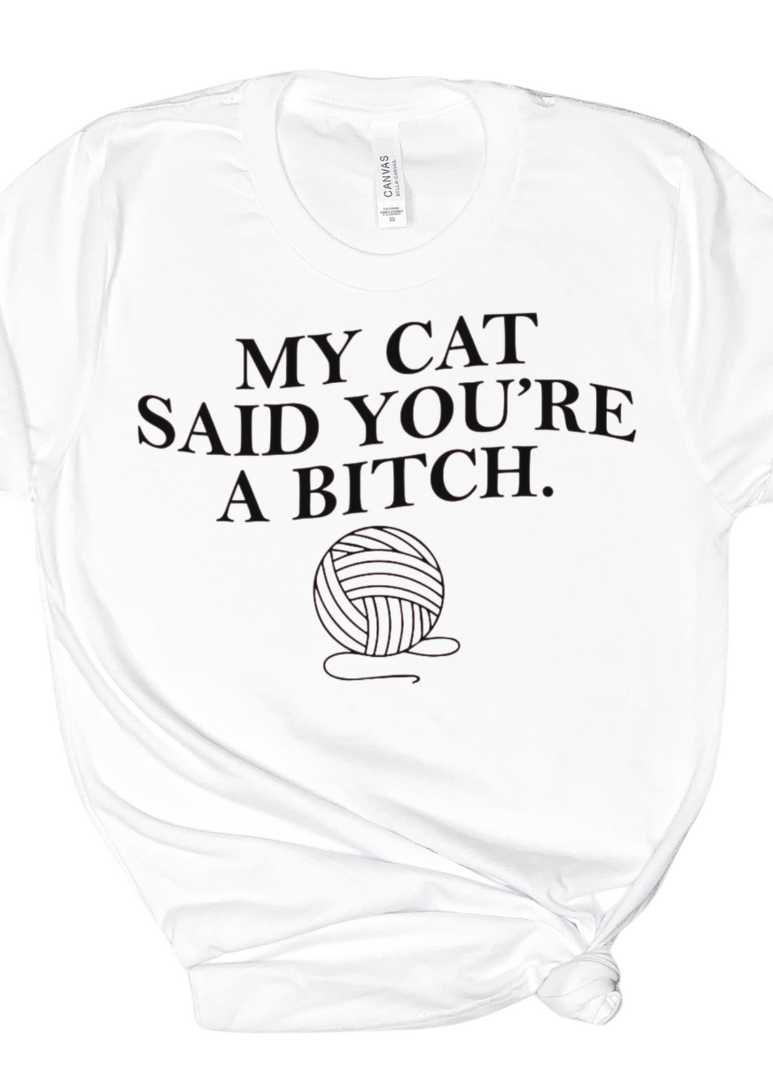 My Cat Said It T-Shirt - Affirmation Apparel Co.