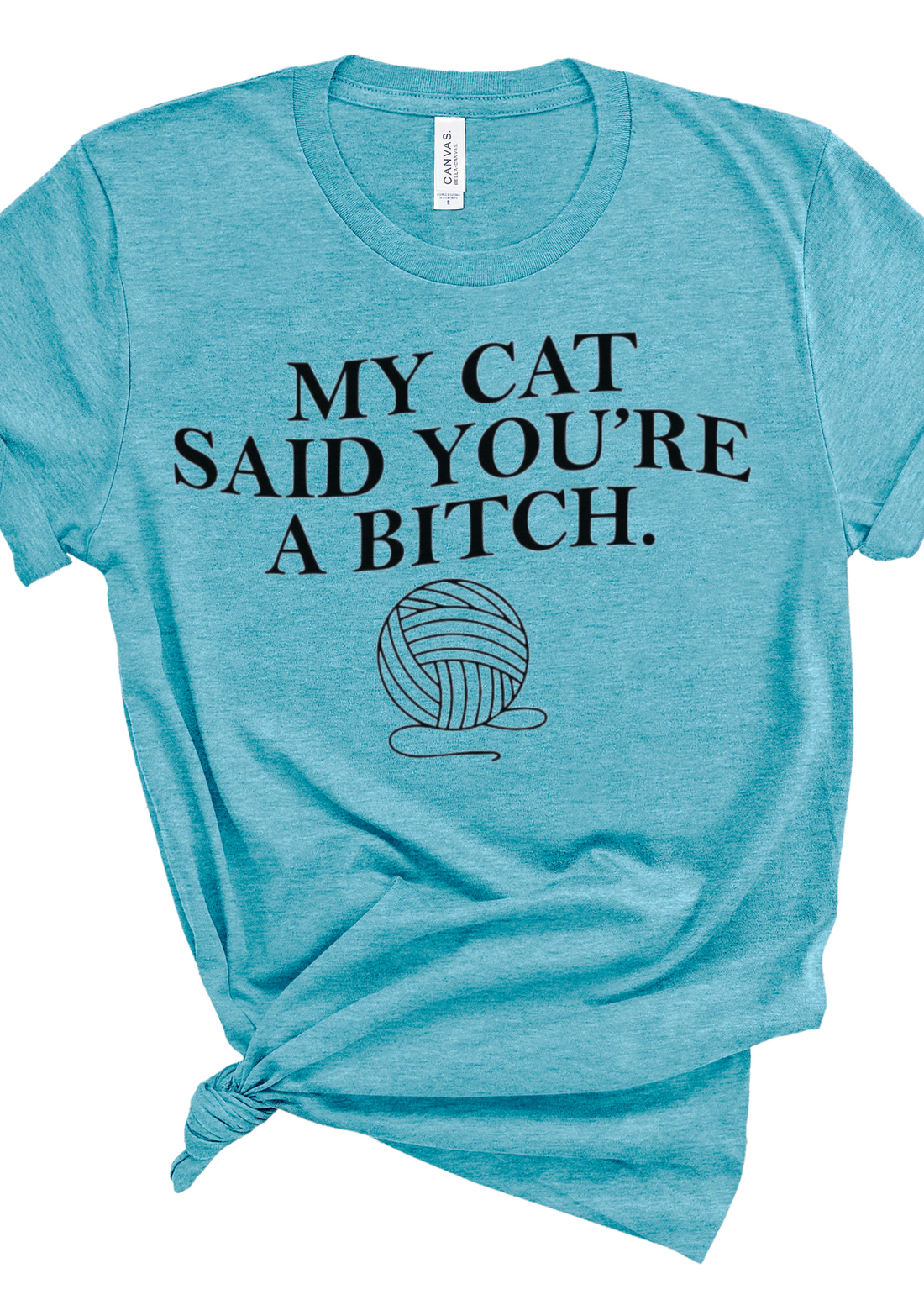 My Cat Said It T-Shirt - Affirmation Apparel Co.